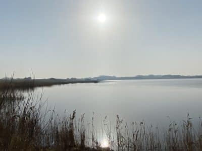 Den sydlige del af søen, set fra pumpehuset.